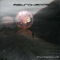 cover of Retroheads - Introspective