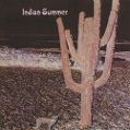 cover of Indian Summer - Indian Summer