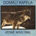 cover of Domácí Kapela - Jedné Noci Snil