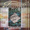 cover of Fugato Orchestra - Neander Variations