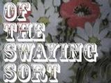 cover of Swaying Sort, Of the - Of the Swaying Sort