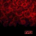 cover of OSI - Blood
