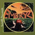 cover of Embryo - Invisible Documents