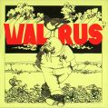 cover of Walrus - Walrus