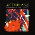 cover of Asturias - In Search of the Soul Trees