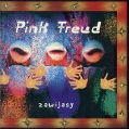 cover of Pink Freud - Zawijasy