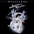 cover of Satin Whale - Whalecome