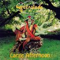 cover of Greenslade - Large Afternoon