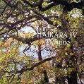 cover of Haikara - Domino (IV)
