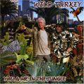 cover of Wild Turkey - You & Me in the Jungle