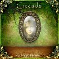 cover of Ciccada - A Child in the Mirror