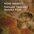 cover of Fujii, Satoko / Natsuki Tamura - How Many?