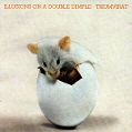 cover of Triumvirat - Illusions on a Double Dimple
