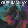 cover of Gurumaniax - Psy Valley Hill