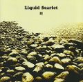 cover of Liquid Scarlet - II