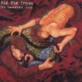 cover of Big Big Train - The Underfall Yard