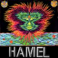 cover of Hamel, Peter Michael - Hamel