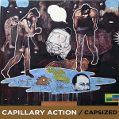 cover of Capillary Action - Capsized