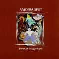 cover of Amoeba Split - Dance of the Goodbyes