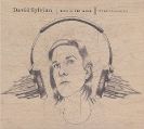 cover of Sylvian, David - Died In The Wool